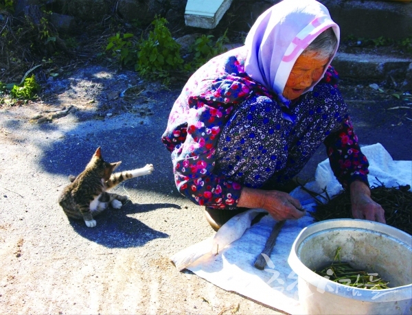 고양이와 사는 지영순(90) 할머니