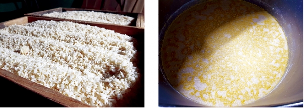 누룩을 발효시키는 ‘입국’과정(왼쪽 사진). 사입실에서 익어가는 밀 막걸리(오른쪽 사진).