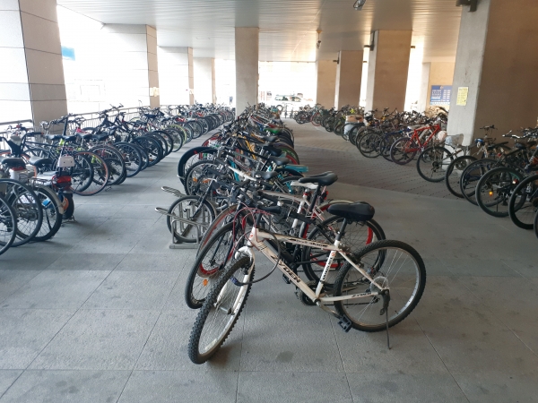 남춘천역 하부공간은 현재 수백대의 자전거만을 위한 공간으로 이용되고 있다.