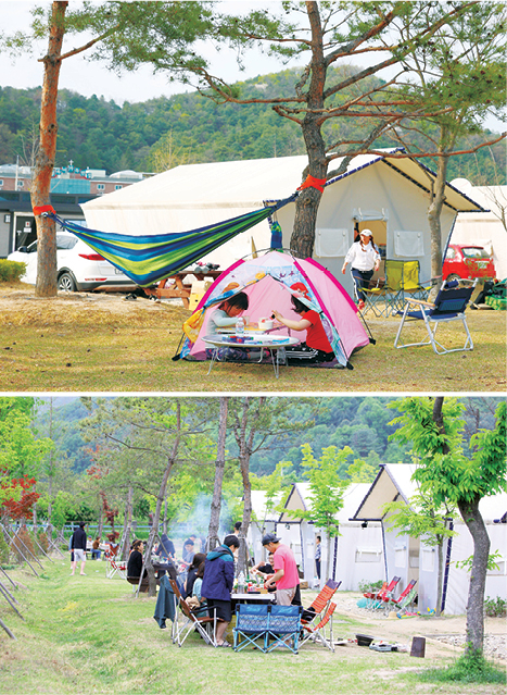 주말 오후 춘천박사마을  어린이글램핑장에서 캠핑을 즐기는 가족들.