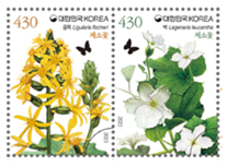 지난 6일 발행된 ‘채소꽃’ 기념우표. 곰취와 박 그림이 그려져 있으며 낱장은 860원, 전지는 6천880원이다.