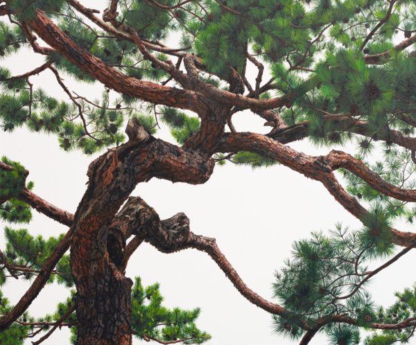 The Pine | Acrylic on Canvas, 2023년 | 60.6×72.7cm | 400만 원
