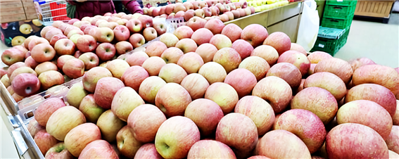 과일 등 신선식품 물가가 급등하며 소비자물가가 두 달 만에 다시 3%대로 진입했다.