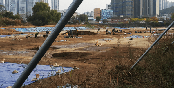 지난달 30일, 캠프페이지 정밀발굴 현장에서 발굴기관이 침수된 유구를 매립하는 모습. 사진=중도본부