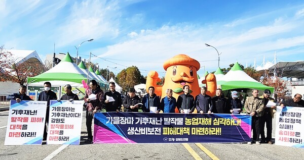 '농업인의 날'인 11일 오후, 강원도 농민들이 기후재난에 따른 농업 피해 대책 마련을 촉구하는 기자회견을 진행했다. 사진=전농 강원도연맹