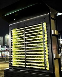 SH공사가 설치한 모스월(Moss Wall). 사진=SH공사