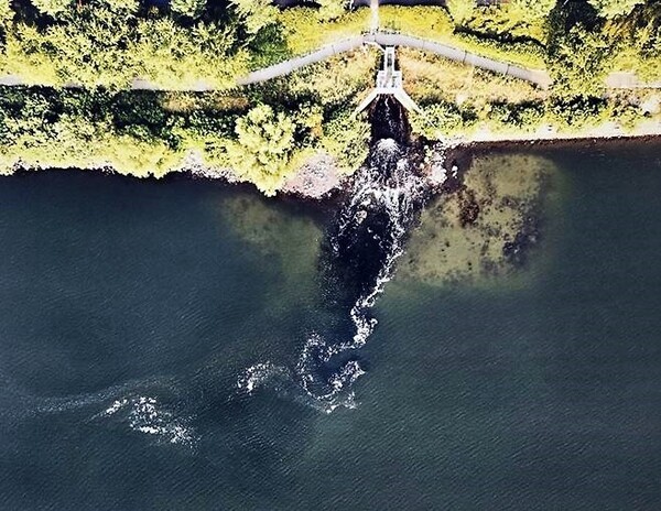근화동 하수종말처리장에서 의암호로 유입되는 검은 색 폐수. 육안으로는 볼 수 없는 장면이 드론 카메라에 포착됐다.