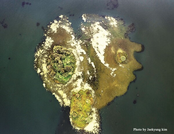 "WATER SCAPE_중도 #02'. 김재경 작가는 지난 5월 9일부터 14일까지 의암호 환경을 드론으로 촬영한 사진 38점을 춘천미술관 1층에서 ‘WATER SCAPE(물속의 지형)’라는 주제로 전시회를 열었다.